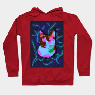 Cat in pop art Hoodie